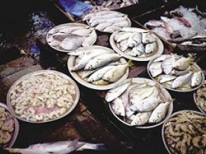 Fatwa on Haram Fish